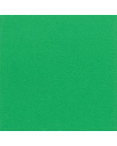 8 3/4 x 11 1/4 130M Emerald Report Cover round corner