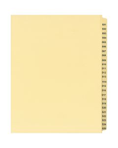 Onglets juridique Jeux Lettre 501-525 Coupe 25 Chamois