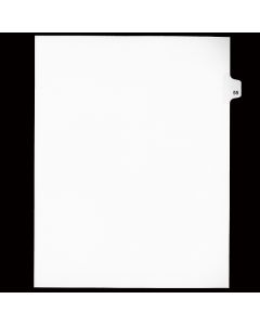 SW Index Tab Dividers White 25th Cut #55
