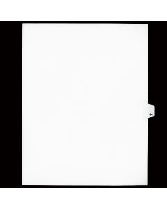 SW Index Tab Dividers White 25th Cut #64