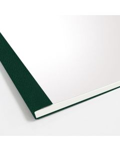 1/4" Clear Front- Emerald Green Back 300P Thermal Cove