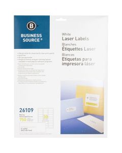 Business Source Premium Address Labels -26109